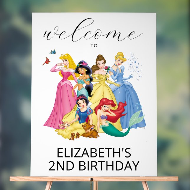 Simple and Modern Disney Princess Birthday Welcome Acrylic Sign (Neutral)