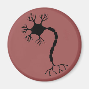 Simple Black Neuron Design Magnet