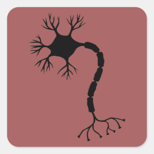 Simple Black Neuron Design Square Sticker