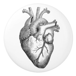 Simple Black White Anatomy Heart Illustration Ceramic Knob