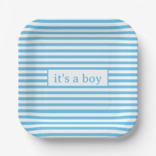 Simple Blue and White Stripes Paper Plate
