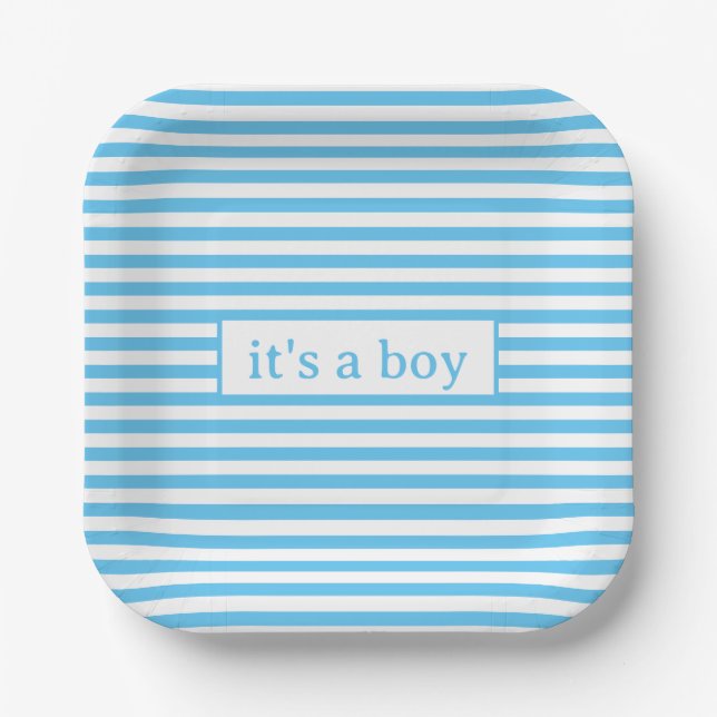 Simple Blue and White Stripes Paper Plate (Front)