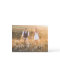 Simple Boho | Elegant Script Photo Save the Date