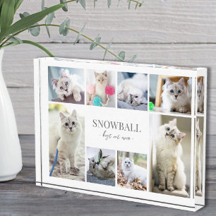 Simple Cat Pet Photo Collage Block