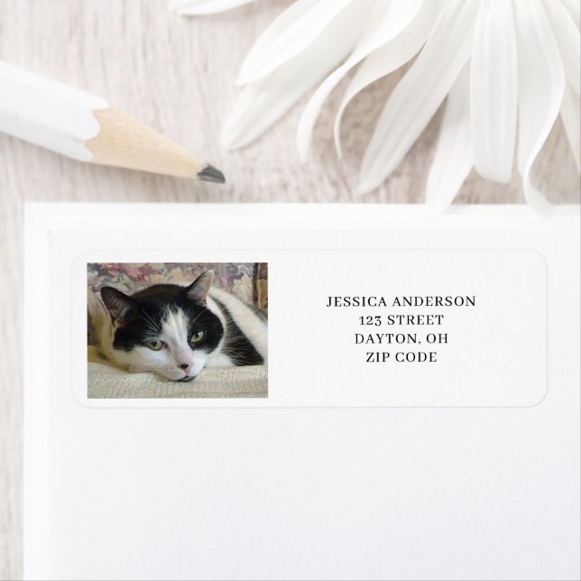 Simple Cat Photo Return Address (Insitu)