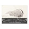 Simple Chalkboard Christmas Card