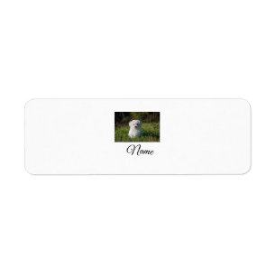 Simple colorful animal add name photo custom throw