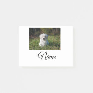 Simple colorful animal add name photo custom throw post-it notes