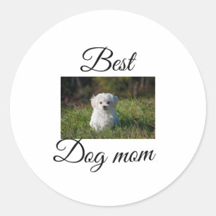 Simple colorful animal add name photo dog mom gift classic round sticker