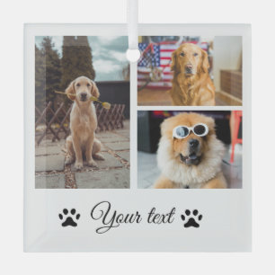 Simple colourful animal add name photo collage glass ornament