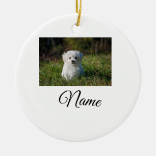 Simple colourful animal add name photo custom thro ceramic ornament