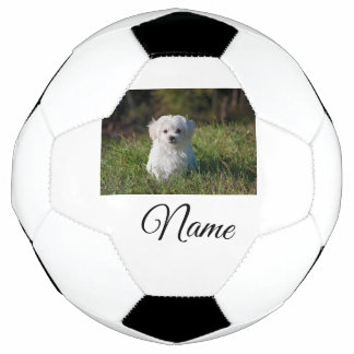 Simple colourful animal add name photo custom thro soccer ball