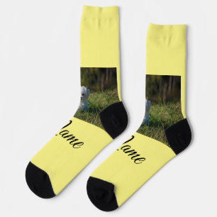Simple colourful animal add name photo custom thro socks