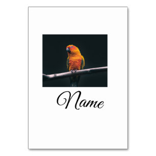 Simple colourful animal add name photo custom thro table number