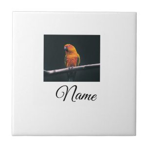 Simple colourful animal add name photo custom thro tile