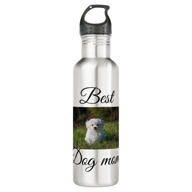 Simple colourful animal add name photo dog mom gif 710 ml water bottle (Front)