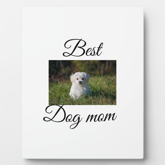 Simple colourful animal add name photo dog mom gif plaque (Front)