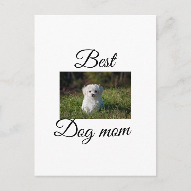Simple colourful animal add name photo dog mom gif postcard (Front)
