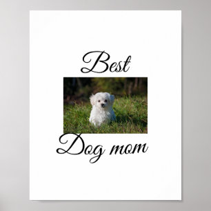 Simple colourful animal add name photo dog mom gif poster