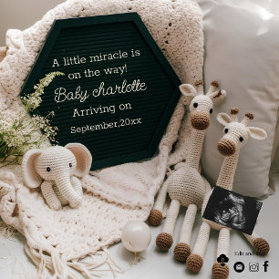 Simple cozy neutral pregnancy announcement 