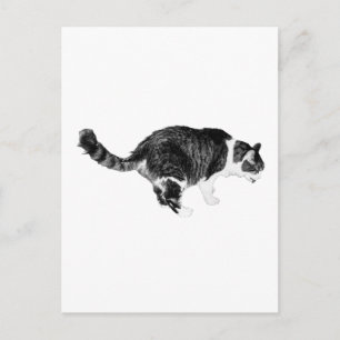 Simple Curiosity, Festive Hello Postcard