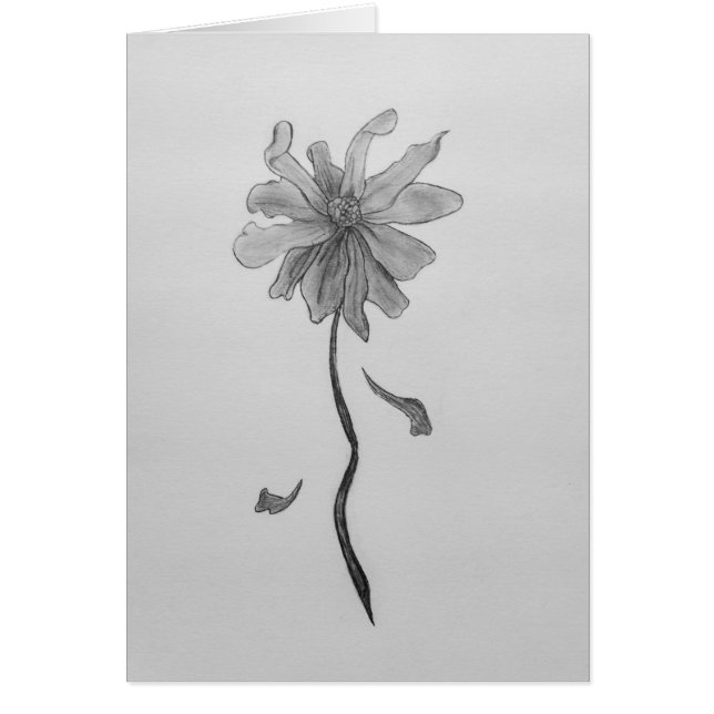 Simple Daisy Greeting Card (Front)