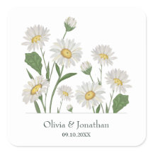 Simple Daisy Wild Garden