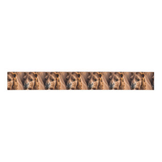 simple desert camel pattern modern  grosgrain ribbon