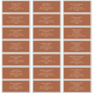 Simple Desert   Terracotta Address Labels