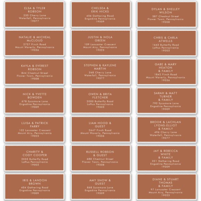 Simple Desert | Terracotta Address Labels (Front)