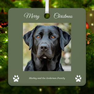 Simple Dog Photo Merry Christmas Green Metal Ornament