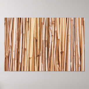 Simple Dried Bamboo Artwork   Poster