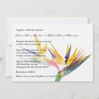 Simple Elegant Bird of Paradise Floral Wedding