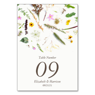 Simple Elegant Botanical Wild Flower Wedding Table Number
