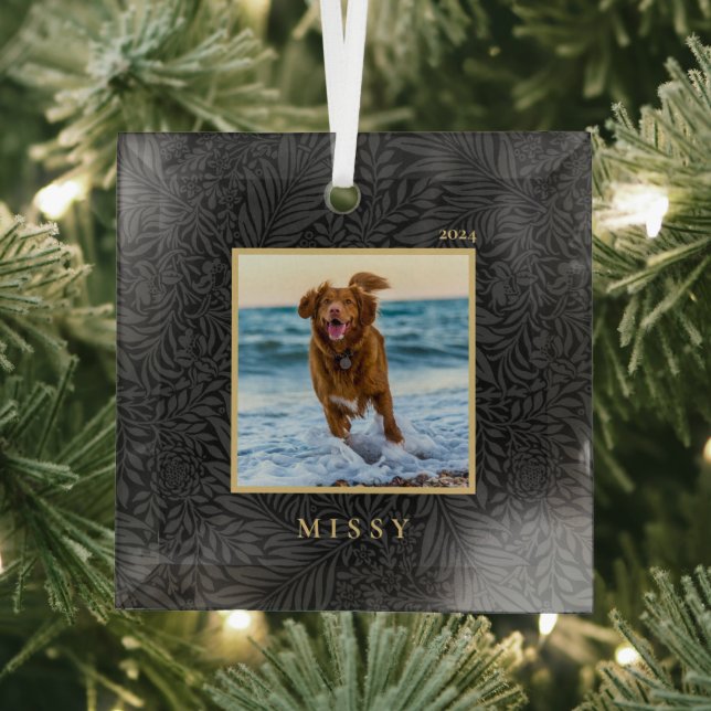 Simple Elegant Custom Pet Name Photo Glass Ornament (Insitu)