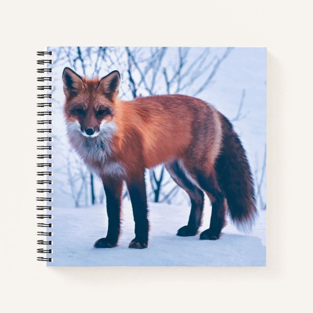 Simple Elegant Red Fox Artwork | Notebook (Front)