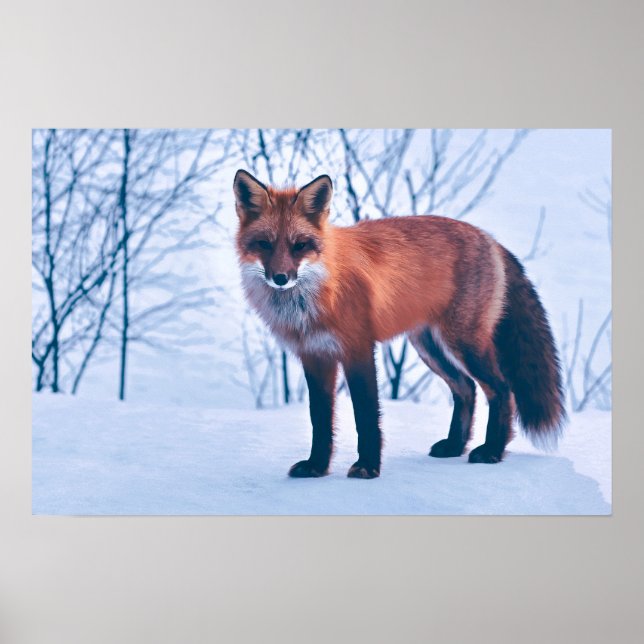 Simple Elegant Red Fox Artwork | Poster (Front)