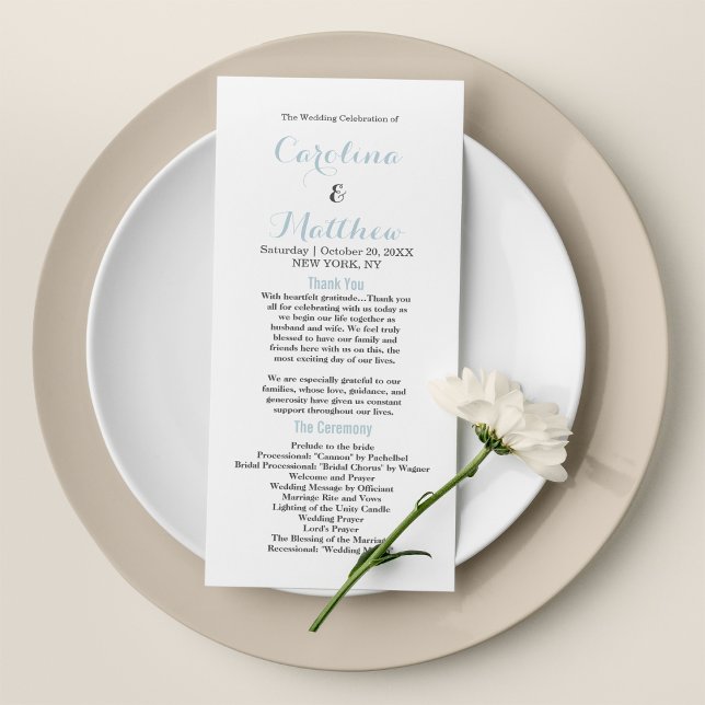 Simple elegant white pastel blue modern Program (Simple elegant white pastel blue modern Program)