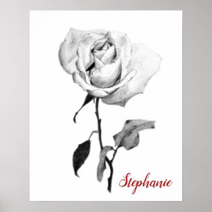 Simple Elegant White Rose in Black Graphite Pencil Poster