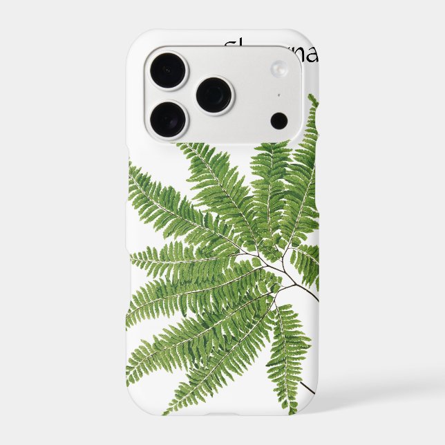 Simple fern,  (Back)