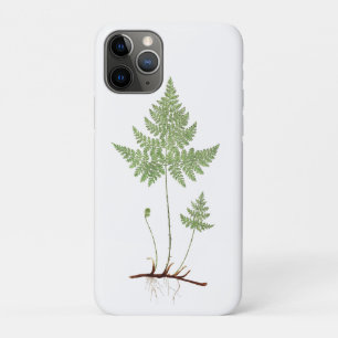 Simple fern,  iPhone 11 pro case
