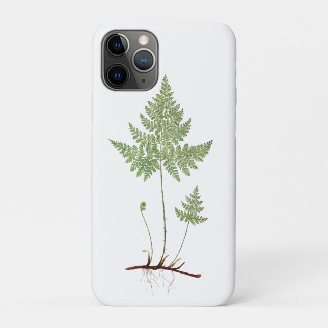 Simple fern,  Case-Mate iPhone case (Back)