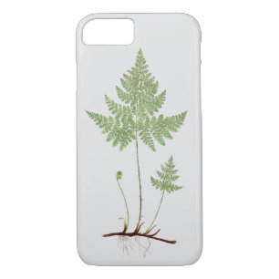 Simple fern, Case-Mate iPhone case