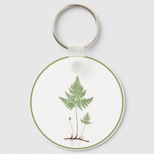 Simple Fern, Keychain