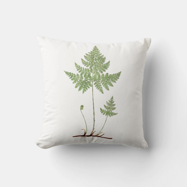 Simple Fern, Throw Pillow (Front)