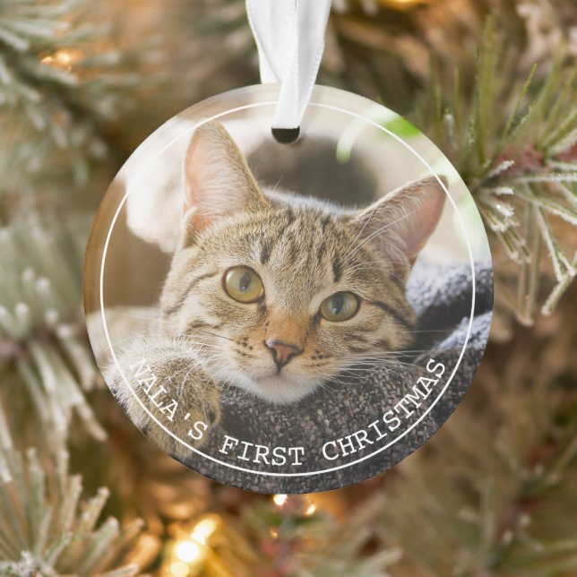 Simple Frame Animal Pet Photo Ornament (Tree)