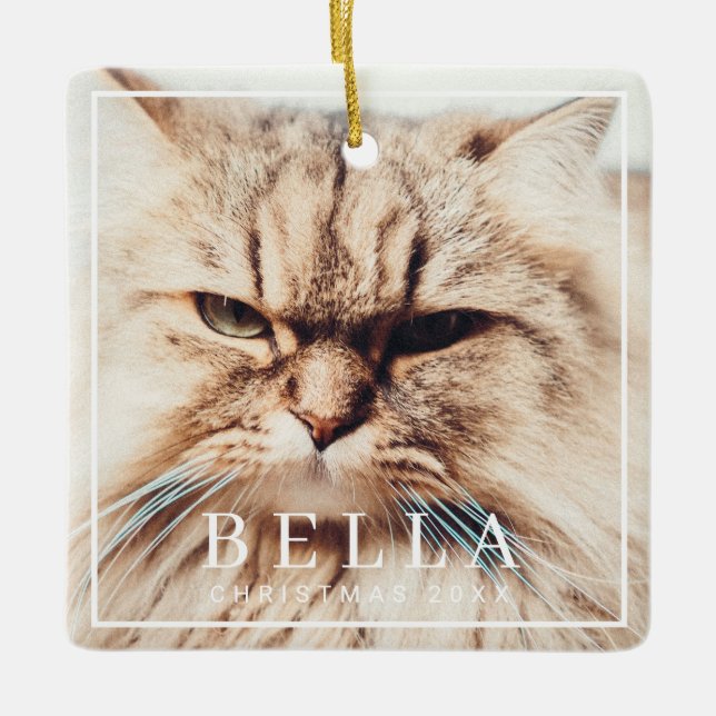 Simple Frame Modern Chic Family Pet Photo Holiday Ceramic Ornament (Front)