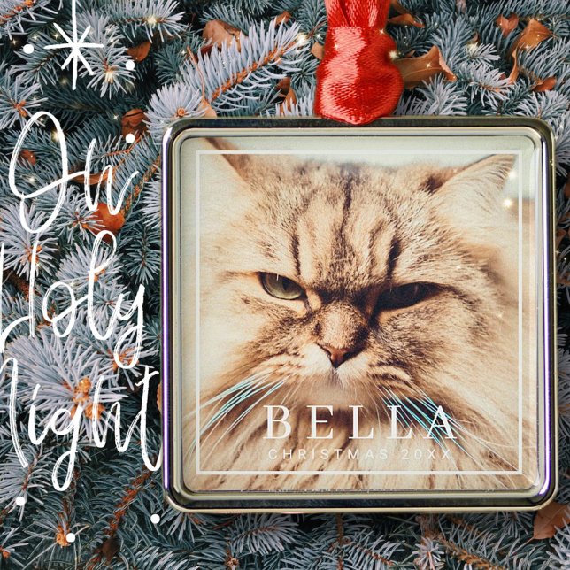 Simple Frame Modern Chic Family Pet Photo Holiday Metal Ornament (Creator Uploaded)