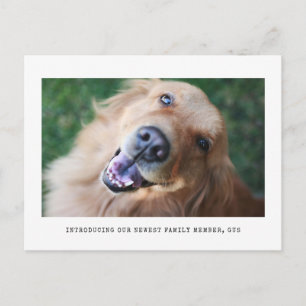 Simple Graphic Photo Pet Adoption Announcement Postcard