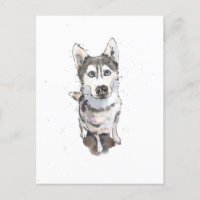 simple Grey Husky cute funny dog Postcard